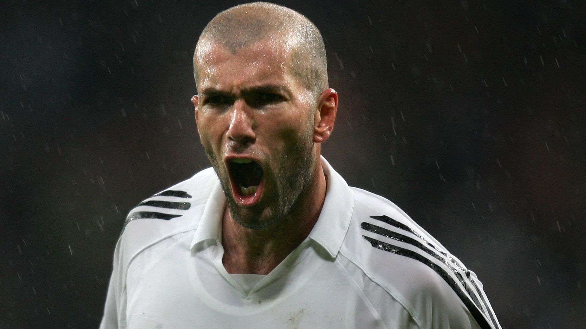 多样化的社 多样化的社